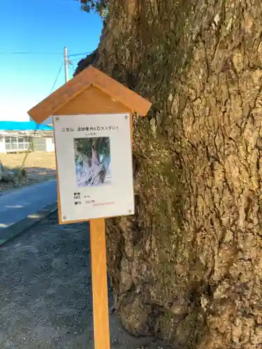 道路衢神の庭園