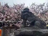 湯島天満宮(東京都)