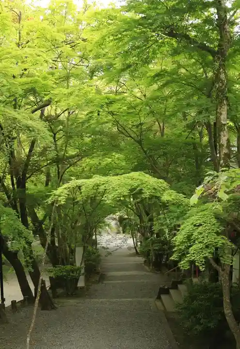 神峯山寺(大阪府)