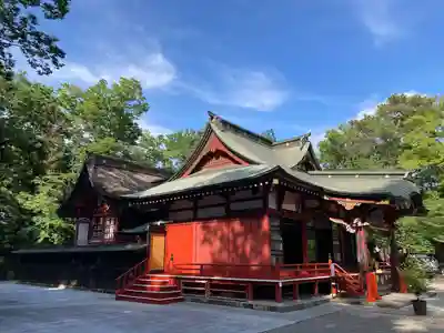 玉村八幡宮(群馬県)