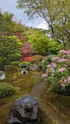 華厳寺(鈴虫寺)(京都府)