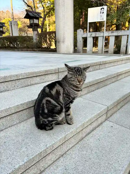 武田神社(山梨県)