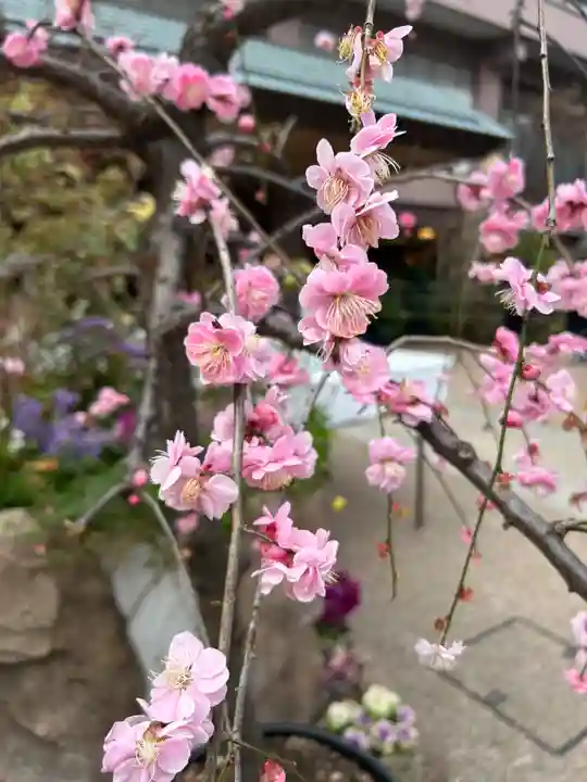 東京大神宮(東京都)