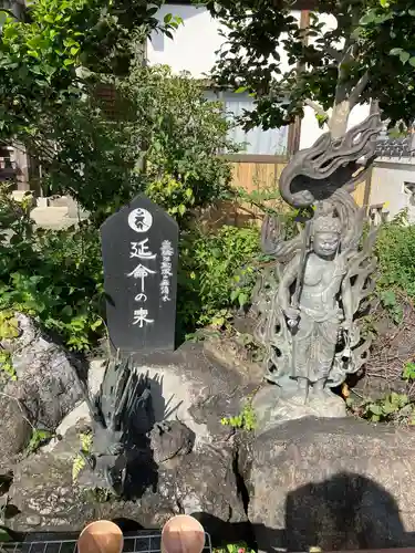 泉竜寺(乙女不動尊)(栃木県)