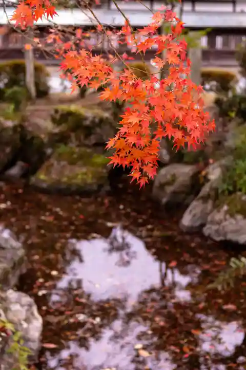 宗像大社(福岡県)