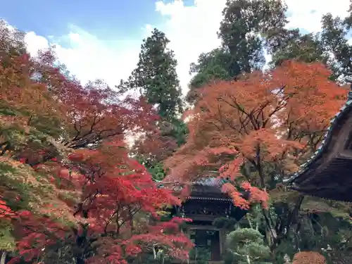最乗寺（道了尊）(神奈川県)