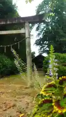 伊久波神社（下三宅）の鳥居