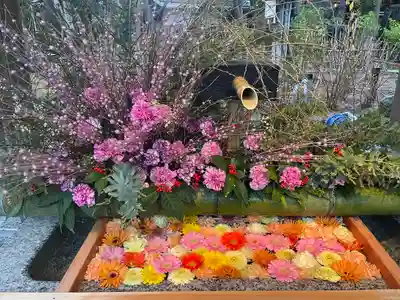 白山神社(新潟県)