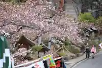 開成山大神宮の景色
