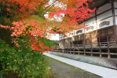 中尊寺金色堂(岩手県)