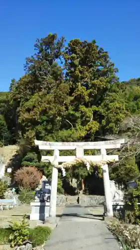 五社神社の鳥居