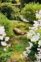 平安神宮(京都府)