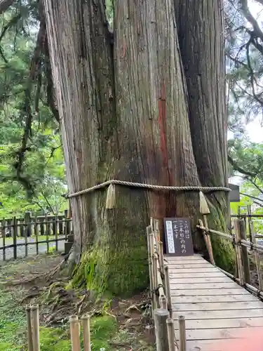 戸隠神社中社(長野県)