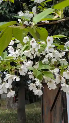 植槻八幡神社(奈良県)