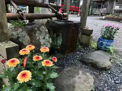 坪沼八幡神社(宮城県)