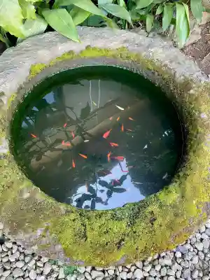 隅田川神社(東京都)