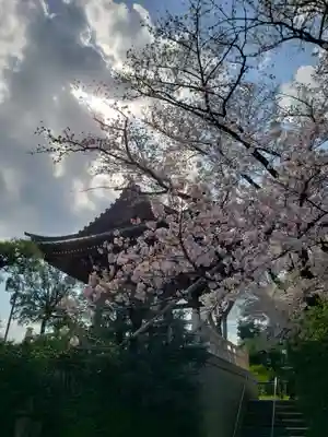 福蔵院(東京都)