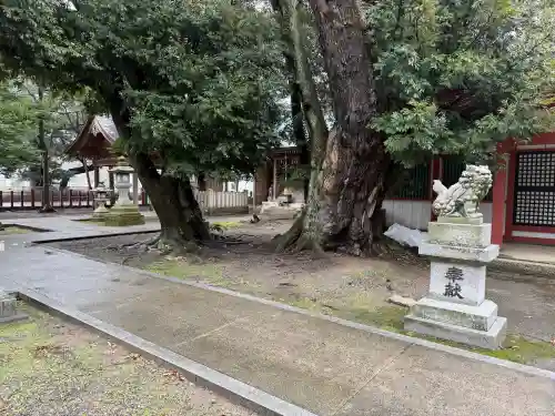 角鹿神社の{uncategorized: "未分類", other: "その他", undefined: "問題あり", building: "その他建物", grave: "お墓", sacred_gate: "鳥居", guardian: "狛犬", statue: "像", buddha: "仏像", history: "歴史", nature: "自然", garden: "庭園", animal: "動物", pagoda: "塔", temizu: "手水舎", mountain_gate: "山門・神門", sanctuary: "本殿・本堂", subordinate: "末社・摂社", art: "芸術", scenery: "景色", jizo: "地蔵", ema: "絵馬", goshuin: "御朱印", omikuji: "おみくじ", items: "授与品その他", amulet: "お守り", goshuincho: "御朱印帳", eats: "食事", festival: "お祭り", votive_dance: "神楽", shichigosan: "七五三参", wedding: "結婚式", experience: "体験その他", initially: "初詣", around: "周辺", anti_infection: "感染症対策"}