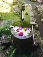 柳谷観音 楊谷寺の手水舎