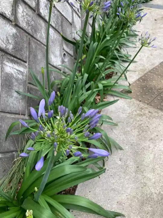 北金目神社(神奈川県)