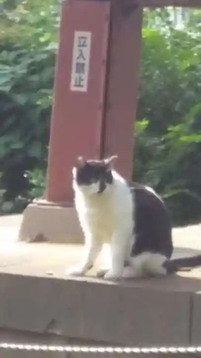 感応院(神奈川県)
