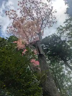 東征神社(茨城県)