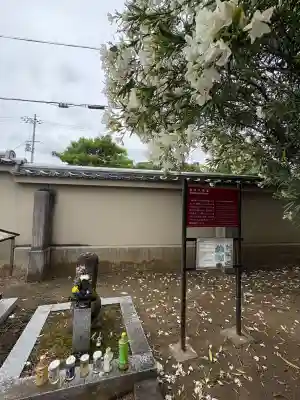 達磨寺(奈良県)