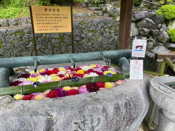 岡寺(龍蓋寺)の{uncategorized: "未分類", other: "その他", undefined: "問題あり", building: "その他建物", grave: "お墓", sacred_gate: "鳥居", guardian: "狛犬", statue: "像", buddha: "仏像", history: "歴史", nature: "自然", garden: "庭園", animal: "動物", pagoda: "塔", temizu: "手水舎", mountain_gate: "山門・神門", sanctuary: "本殿・本堂", subordinate: "末社・摂社", art: "芸術", scenery: "景色", jizo: "地蔵", ema: "絵馬", goshuin: "御朱印", omikuji: "おみくじ", items: "授与品その他", amulet: "お守り", goshuincho: "御朱印帳", eats: "食事", festival: "お祭り", votive_dance: "神楽", shichigosan: "七五三参", wedding: "結婚式", experience: "体験その他", initially: "初詣", around: "周辺", anti_infection: "感染症対策"}