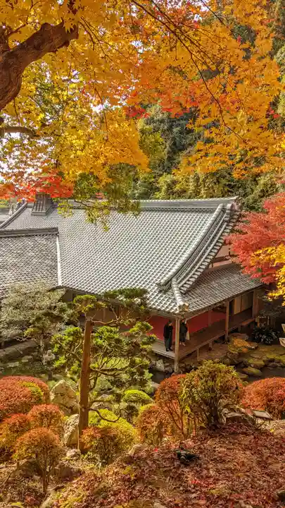 柳谷観音 楊谷寺(京都府)