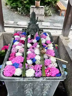柳谷観音　楊谷寺(京都府)