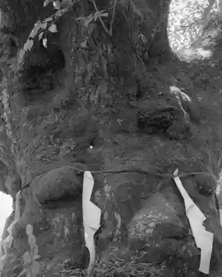 熊野皇大神社(長野県)
