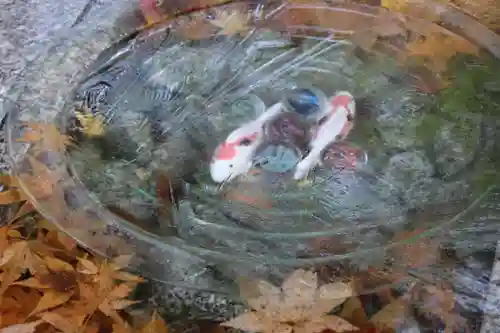 滑川神社 - 仕事と子どもの守り神の手水舎