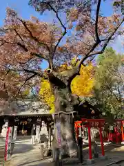 新田神社(東京都)