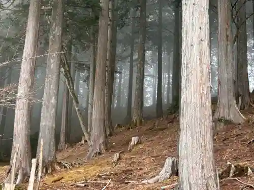 三峯神社の{uncategorized: "未分類", other: "その他", undefined: "問題あり", building: "その他建物", grave: "お墓", sacred_gate: "鳥居", guardian: "狛犬", statue: "像", buddha: "仏像", history: "歴史", nature: "自然", garden: "庭園", animal: "動物", pagoda: "塔", temizu: "手水舎", mountain_gate: "山門・神門", sanctuary: "本殿・本堂", subordinate: "末社・摂社", art: "芸術", scenery: "景色", jizo: "地蔵", ema: "絵馬", goshuin: "御朱印", omikuji: "おみくじ", items: "授与品その他", amulet: "お守り", goshuincho: "御朱印帳", eats: "食事", festival: "お祭り", votive_dance: "神楽", shichigosan: "七五三参", wedding: "結婚式", experience: "体験その他", initially: "初詣", around: "周辺", anti_infection: "感染症対策"}
