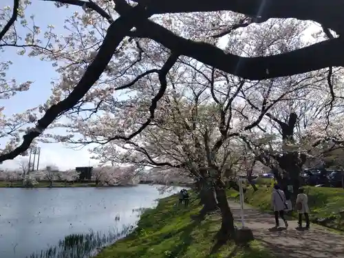 榊神社(新潟県)