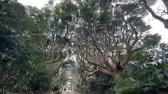 酒列磯前神社(茨城県)