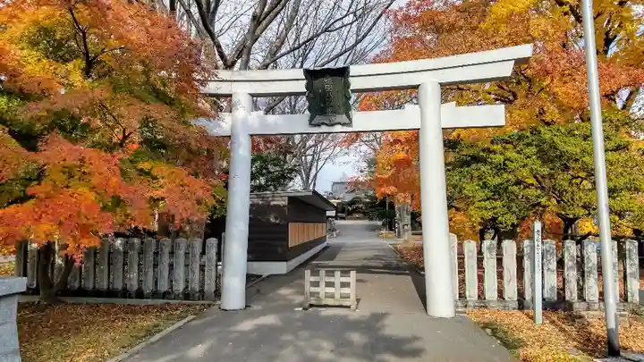亀田八幡宮の鳥居