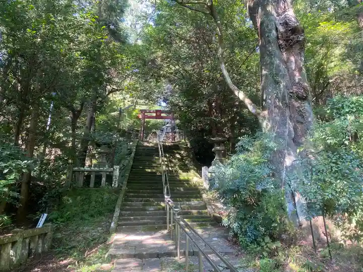 柞原八幡宮(大分県)