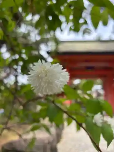 住吉大社の自然