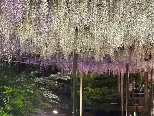 牛玉山観音寺の{uncategorized: "未分類", other: "その他", undefined: "問題あり", building: "その他建物", grave: "お墓", sacred_gate: "鳥居", guardian: "狛犬", statue: "像", buddha: "仏像", history: "歴史", nature: "自然", garden: "庭園", animal: "動物", pagoda: "塔", temizu: "手水舎", mountain_gate: "山門・神門", sanctuary: "本殿・本堂", subordinate: "末社・摂社", art: "芸術", scenery: "景色", jizo: "地蔵", ema: "絵馬", goshuin: "御朱印", omikuji: "おみくじ", items: "授与品その他", amulet: "お守り", goshuincho: "御朱印帳", eats: "食事", festival: "お祭り", votive_dance: "神楽", shichigosan: "七五三参", wedding: "結婚式", experience: "体験その他", initially: "初詣", around: "周辺", anti_infection: "感染症対策"}