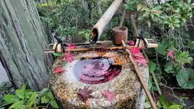 霊源院(京都府)