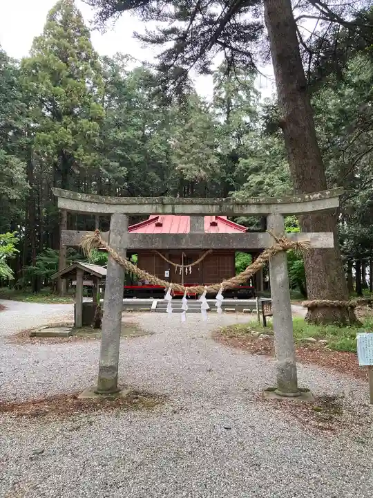 鷲宮神社の鳥居