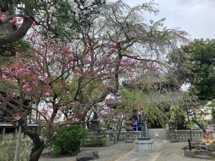 本覚寺(神奈川県)