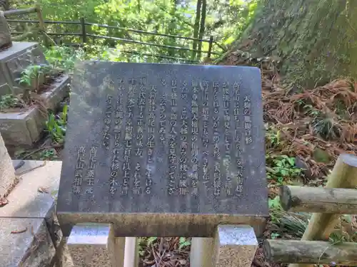 高尾山薬王院(東京都)