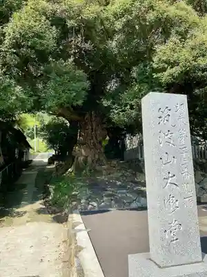 筑波山大御堂のその他建物