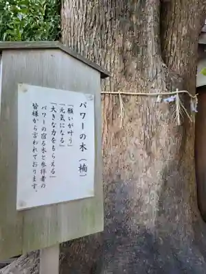 菅生神社(愛知県)