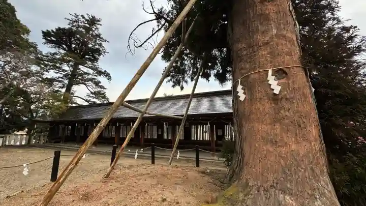 吉備津彦神社(岡山県)