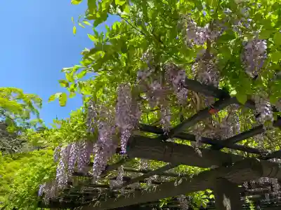 鹿島神宮(茨城県)
