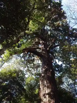 日吉神社(千葉県)