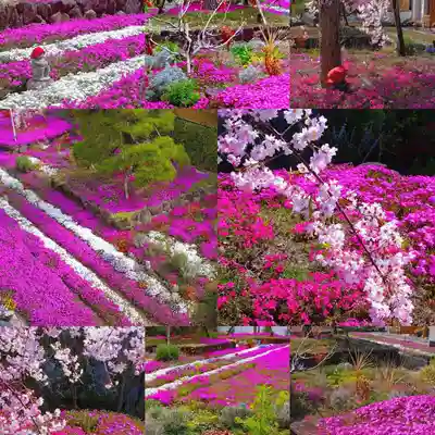 寿量山 速成寺(奈良県)